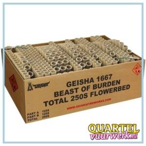 MANIA Geisha Beast of burden 250.s (Nieuw in 2024) [RUB1667]