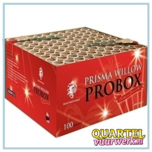 Bonfire PRISMA WILLOW PROBOX 100.shots (Nieuw in 2024) [RUB6266]